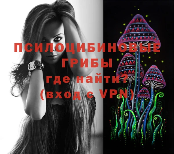 дмт Горняк