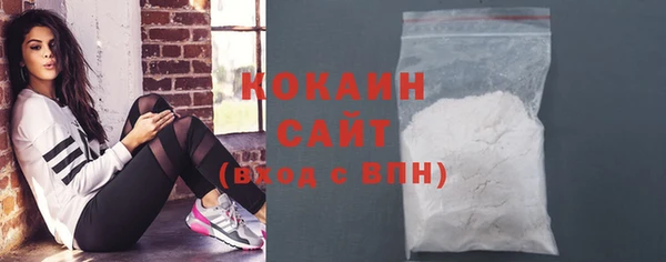 дмт Горняк