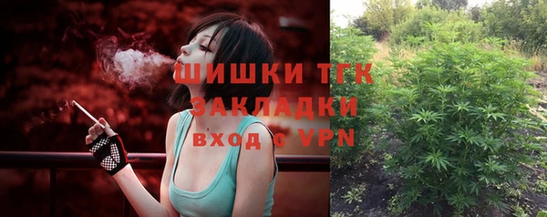дмт Горняк