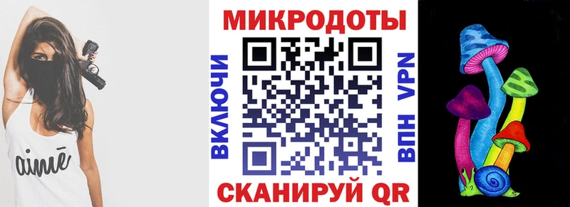 Псилоцибиновые грибы Psilocybine cubensis  Кемерово 